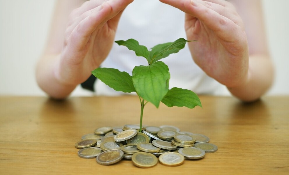 Monetization for Niche Sites can Grow over Time